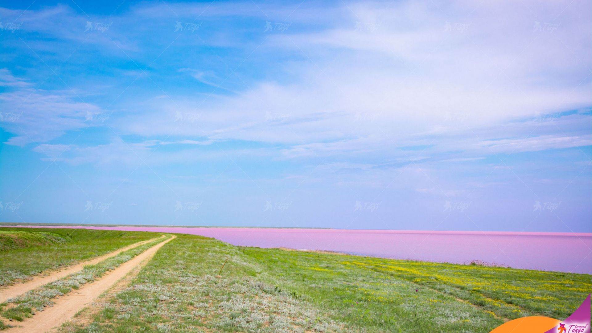 розовое озеро в волгоградской области